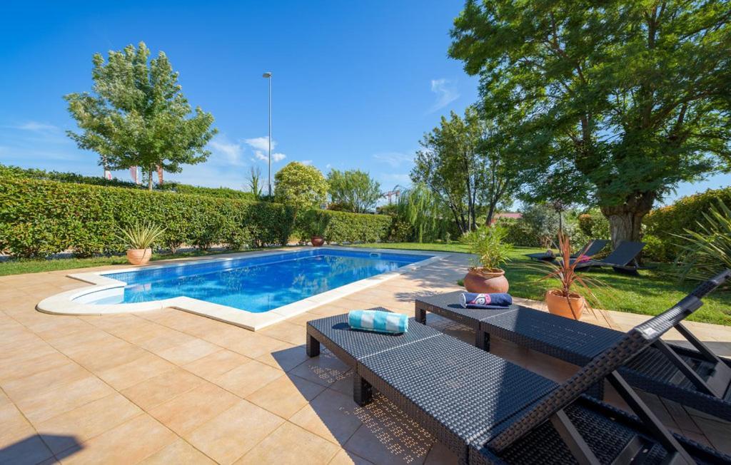 Villa Vigneri Novigrad Istria エクステリア 写真